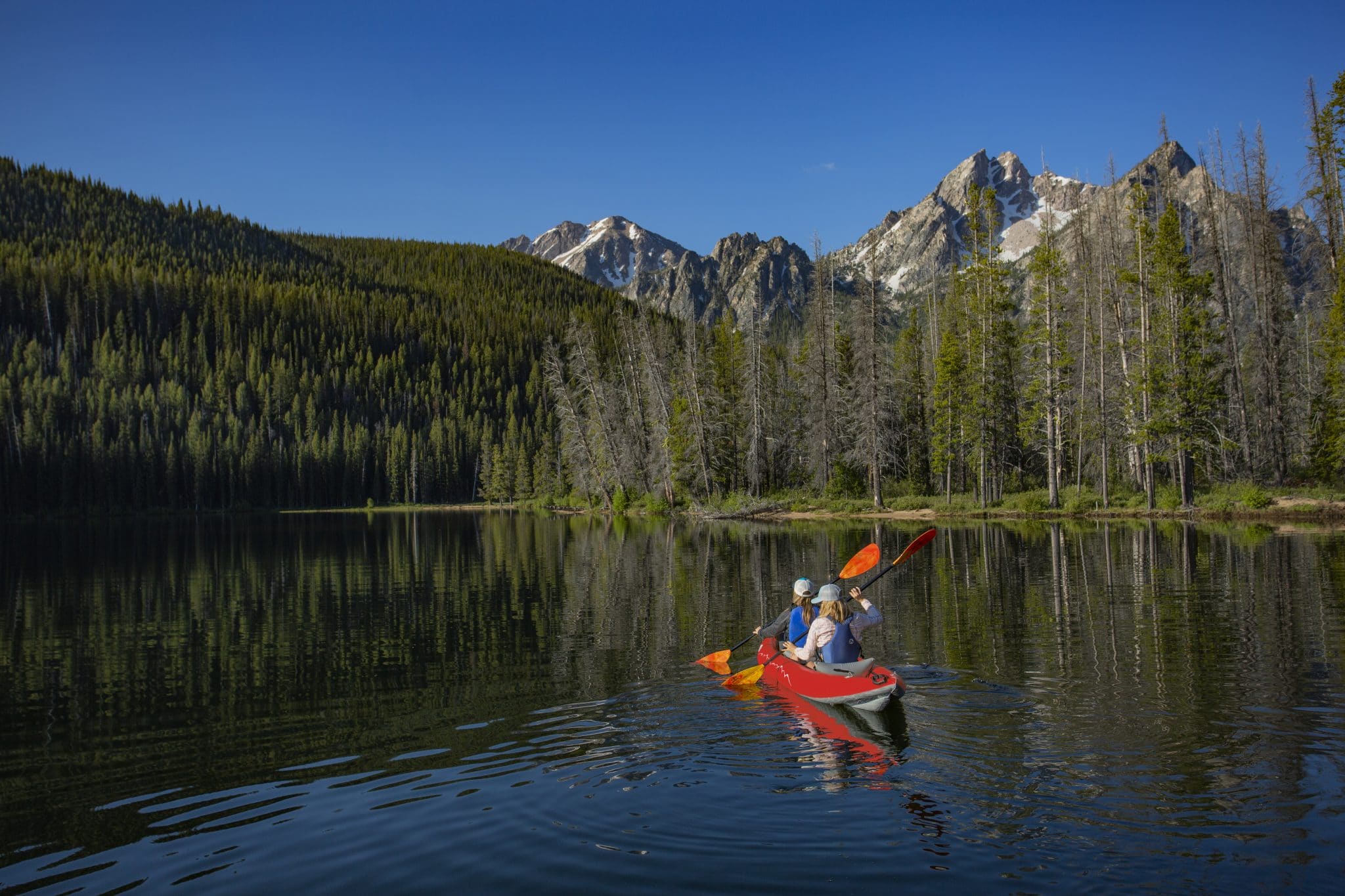 Sawtooth Scaled